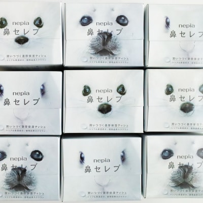 【お歳暮】ネピア 鼻セレブボックスティッシュ (20箱)