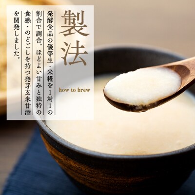 【定期便6回(偶数月)発送】信州たてしな仕込み 発芽玄米甘酒 500g×6本