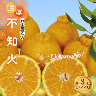 Lサイズ以上 石本農園の不知火3kg【3月初旬から下旬までに順次発送】【mis011A】
