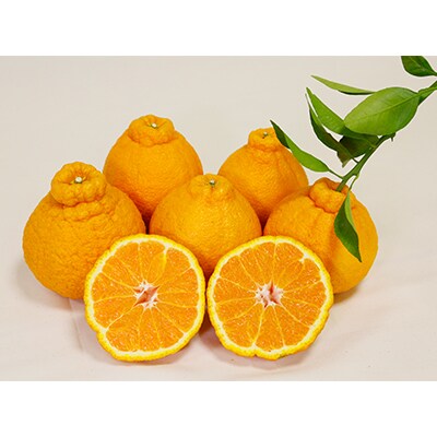 2L-3L 9玉～12玉 森溝農園のハウス不知火 3kg【mmz002】