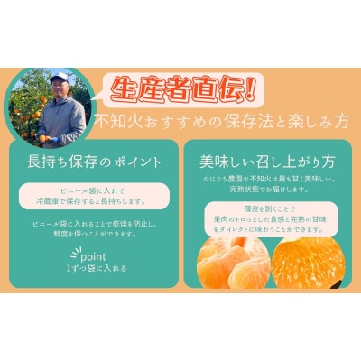 たにぐち農園の完熟不知火 5kg【2026年2月中旬～3月下旬順次発送】【mtn011B】