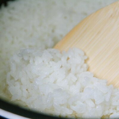 紀生(きりゅう) (コシヒカリ) 5kg【9月末から6月までの期間で順次発送】【rnm001C】