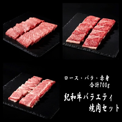 紀和牛 バラエティ焼肉セット 計700g(ロース・赤身・バラ入)【冷凍】【tnk129-2】