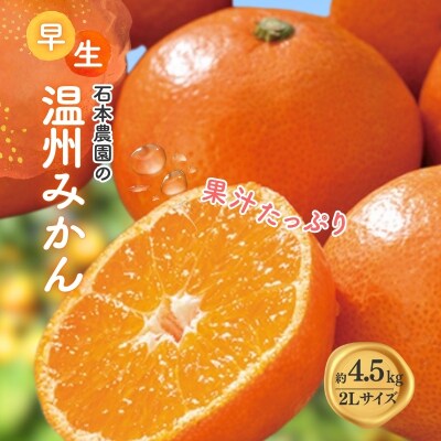 2Lサイズ 石本農園の早生温州みかん約4.5kg【11月下旬～12月末頃順次発送】【mis005B】