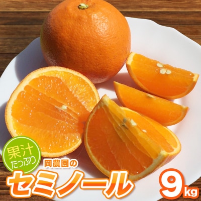 サイズL以上 岡農園のセミノール9kg【2026年3月下旬～4月下旬発送】【mok002A】