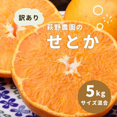 萩野農園の 訳あり せとか 5kg【2025年3月中旬～4月上旬頃発送】【mhn001】