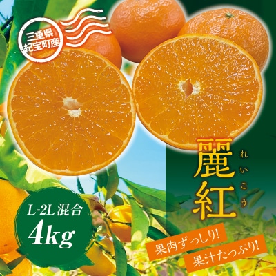 サイズ混合 萩野農園の麗紅(れいこう)4kg【2025年1月末～2月末頃発送】【mhn002A】