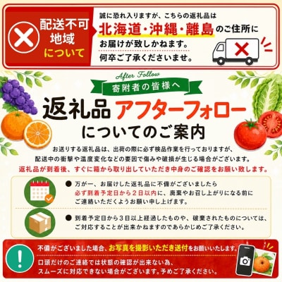 訳あり せとか 約3.5kg+200g(傷み補償分) 【2月下旬頃～順次発送】【njb682B】