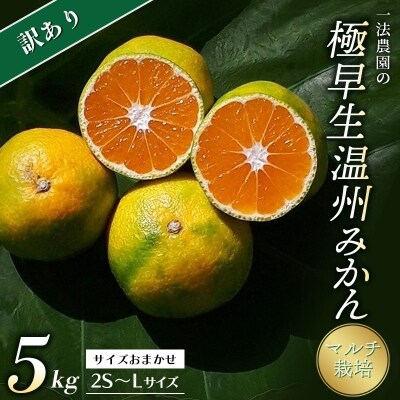 家庭用ちょっと訳ありマルチ栽培 2S-2L 一法農園の極早生温州みかん 5kg 【mkz011A】