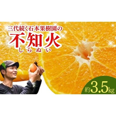 石本果樹園の美味しい 不知火 約3.5kg【2026年2月初旬～下旬発送】【min002B】