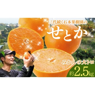 石本果樹園の美味しいせとか 約2.5kg【2026年2月中旬～3月中旬発送】【min004A】