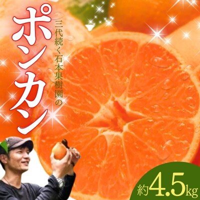 石本果樹園の美味しいポンカン 約4.5kg【2026年1月初旬～2月初旬発送】【min001B】