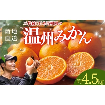 石本果樹園の美味しい温州みかん 約4.5kg【11月初旬～1月下旬発送】【min005B】