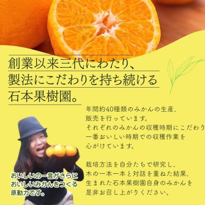 石本果樹園の美味しい温州みかん 約4.5kg【11月初旬～1月下旬発送】【min005B】
