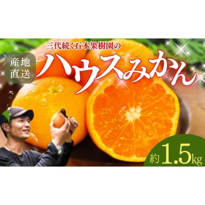 石本果樹園の美味しいハウスみかん 約1.5kg 化粧箱入【7月初旬～8月初旬発送】【min006B】