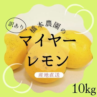 橋本農園の訳ありマイヤーレモン 10kg