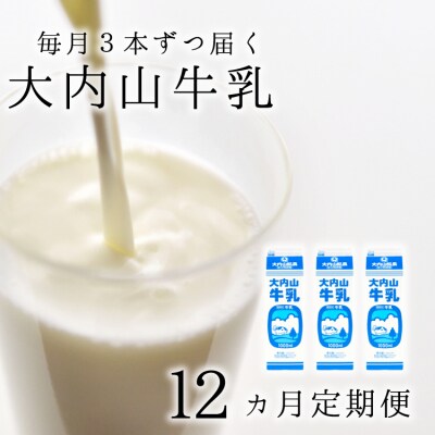 【12か月定期便】大内山牛乳の定期便　1L×3本を12か月連続でお届け!【tkb405】