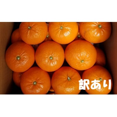 訳あり M~4L サイズおまかせ 濵地農園の麗紅(れいこう) 約5kg【mha006A】