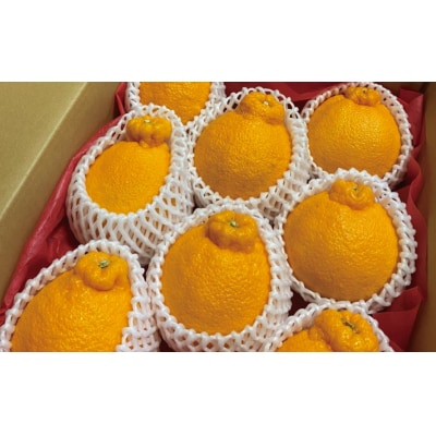 サイズ2L以上 岡農園のハウス不知火 4kg【mok010A】