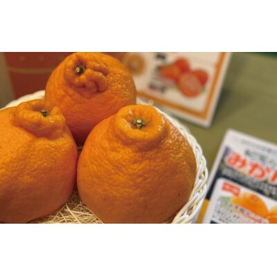 サイズ2L以上 岡農園のハウス不知火 4kg【mok010A】