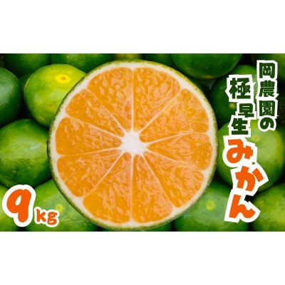 2S~M 岡農園の極早生温州みかん 9kg