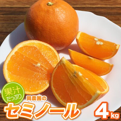 サイズL以上 岡農園のセミノール4kg【2026年3月下旬～4月下旬頃発送】【mok008A】