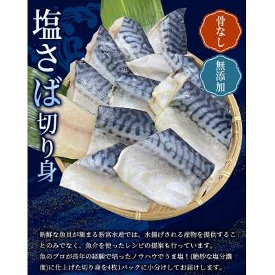 骨なし 無添加 塩さば 切身 60g × 12枚 (4枚入り3セット)【nss507B】