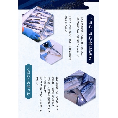 骨なし 無添加 塩さば 切身 60g × 12枚 (4枚入り3セット)【nss507B】