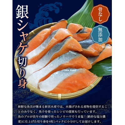 骨なし 無添加 銀シャケ 切身 50g × 12枚 (4枚入り3セット) 【nss508B】