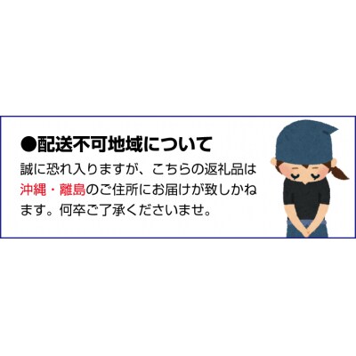 【12ヵ月 定期便】リキッドアイスコーヒー 『紀之宝珈琲』 1L×6本【tkb503】