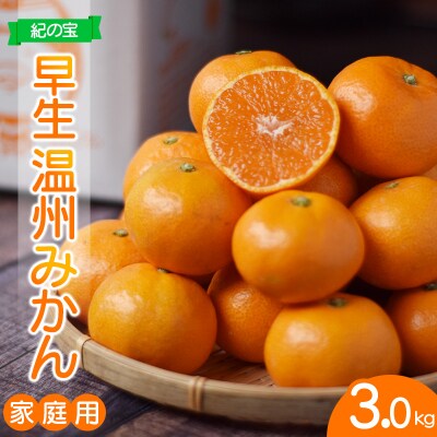 訳あり たにぐち農園の早生温州みかんマルチ栽培3kg【11月中旬～12月中旬発送】【mtn102B】