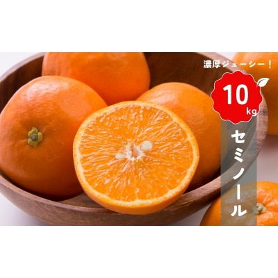 【先行受付】橋本農園の セミノール 10kg 【3月中旬～4月中旬に順次発送】【mht018】
