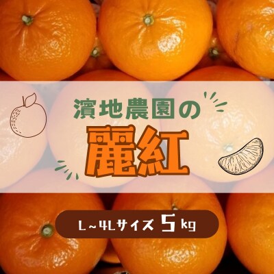 L-4Lサイズ 不揃い 濵地農園の麗紅(れいこう) 約5kg(箱込み) 【mha003A】