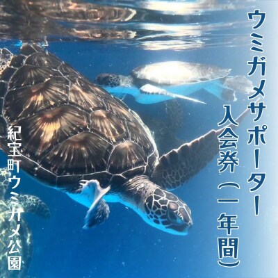 紀宝町ウミガメ公園 ウミガメサポーター(1年間)【rkr016】