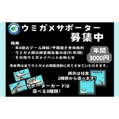 紀宝町ウミガメ公園 ウミガメサポーター(1年間)【rkr016】