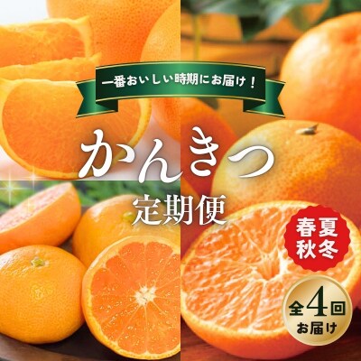 【全4回】 柑橘 定期便 石本果樹園 旬の柑橘を春夏秋冬でお届け! 【tkb508】