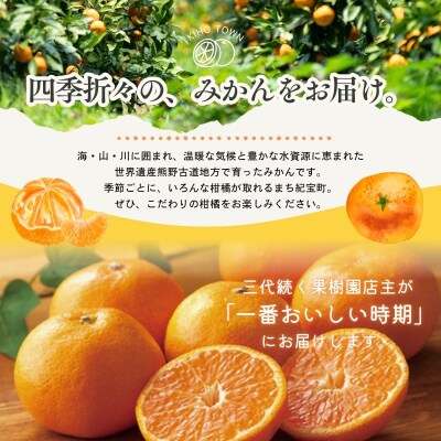 【全4回】 柑橘 定期便 石本果樹園 旬の柑橘を春夏秋冬でお届け! 【tkb508】