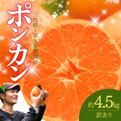 訳あり 石本果樹園の美味しいポンカン 約4.5kg【1月初旬～2月初旬に発送】【min017】