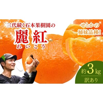 訳あり 石本果樹園の美味しい麗紅 約3kg【2026年2月中旬～3月中旬に発送】【min018】