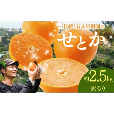 訳あり 石本果樹園の美味しいせとか 約2.5kg【2026年2月中旬～3月中旬発送】【min019】