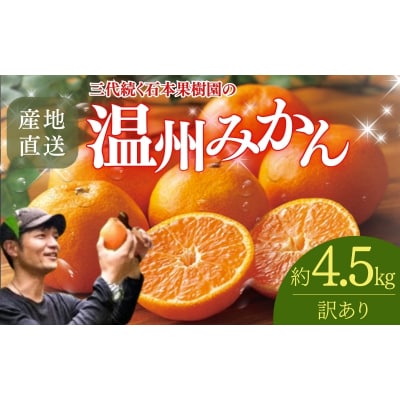訳あり 石本果樹園の美味しい温州みかん 約4.5kg【11月初旬～1月下旬発送】【min020】