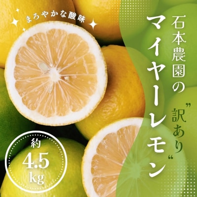 訳ありマイヤーレモン サイズ混合約4.5kg