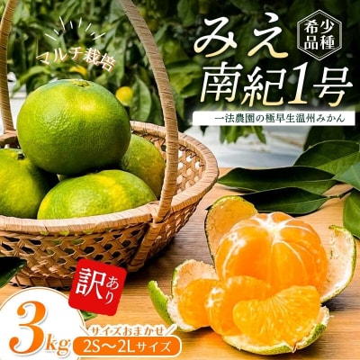 極早生温州みかん2S-2Lサイズ混合3kg ご家庭用 ちょこっと訳ありマルチ栽培【mkz016A】