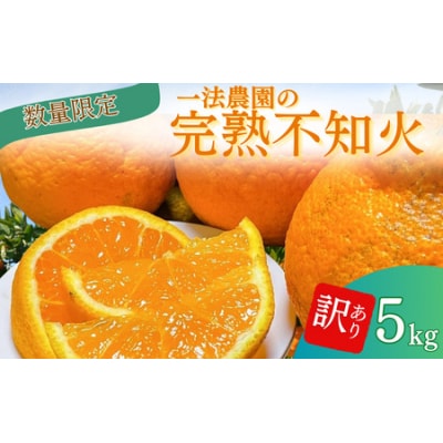 完熟不知火ご家庭用 ちょこっと訳ありM-3Lサイズ混合5kg【2月上旬頃順次発送】【mkz014B】