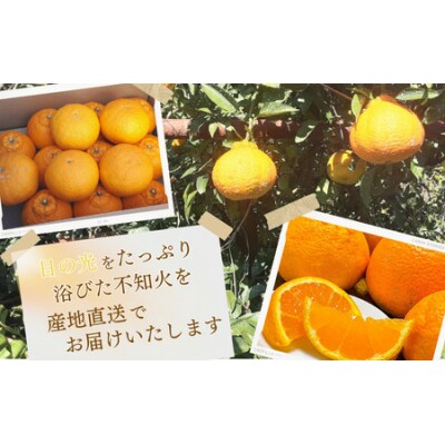 完熟不知火ご家庭用 ちょこっと訳ありM-3Lサイズ混合5kg【2月上旬頃順次発送】【mkz014B】
