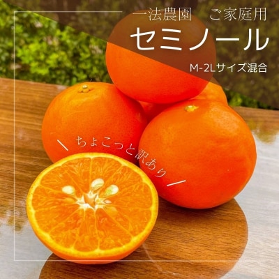 セミノール ご家庭用M-2Lサイズ5kgちょこっと訳あり【4月上旬から順次発送】【mkz007B】