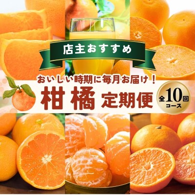 【全10回】 柑橘 定期便 石本果樹園 店主おすすめの柑橘セットをお届け!【tkb509】