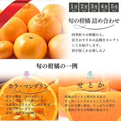 【全10回】 柑橘 定期便 石本果樹園 店主おすすめの柑橘セットをお届け!【tkb509】