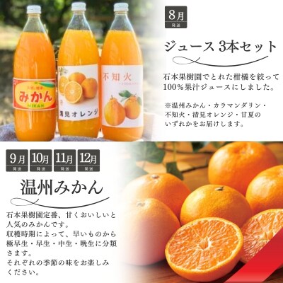【全10回】 柑橘 定期便 石本果樹園 店主おすすめの柑橘セットをお届け!【tkb509】