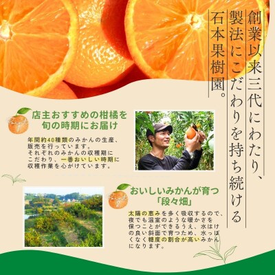 【全10回】 柑橘 定期便 石本果樹園 店主おすすめの柑橘セットをお届け!【tkb509】